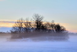 Fog covering trees and a field on a winter evening. Selective focus. High quality photo