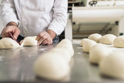 Baker kneading dough in a bakery. Bakery Concept.