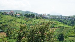 green and beautiful hilly area