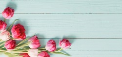 red tulips on blue mint wooden background