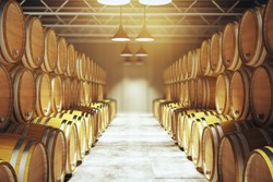 Numerous wooden barrels in winery. 3D Render