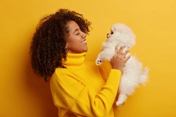 Profile shot of brunette curly woman poses with white spitz, has playful mood, pets small fluffy dog, relax at home, being best friends, satisfied after walk outdoor. Owner and pet relationship