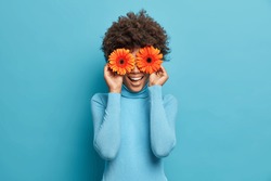 Playful positive African American woman covers eyes with two orange gerberas, enjoys spring time, fresh flowers, has fun, dressed casually, isolated on blue background. Happy florist indoor.