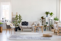 Urban jungle in bright living room interior with white couch with knot pillow and wooden furniture, copy space on empty wall