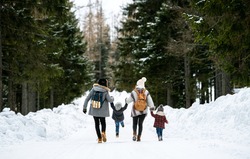 Rear view of family with two small children in winter nature, walking in the snow.