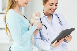 medicine, pet, health care, technology and people concept - close up of happy woman and veterinarian doctor with tablet pc computer checking scottish fold kitten up at vet clinic