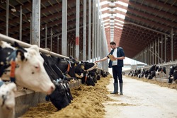 agriculture industry, farming, people and animal husbandry concept - happy young man or farmer with clipboard and cows in cowshed on dairy farm