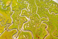Aerial view of the Salt Marsh at Ards Forest Park in County Donegal, Ireland
