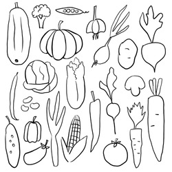 Vegetables hand drawn clip art illustration set. Simple black and white line art set, vegetarian cooking collection of elements, vector illustration
