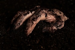 A dirty hand crawling out of the ground after being buried in a grave. 