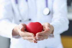 Female doctor holding red toy heart in her hands closeup. Internal organ transplant concept