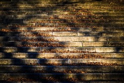 Autumn leaves on stair steps. Piles of autumnal colored foliage on a weathered staircase on which bare trees cast their shadows.