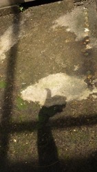 shadow of a man's hand on the mossy floor