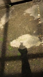 shadow of a man's hand on the mossy floor