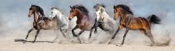 Wild horses run in  desert dust against blue sky