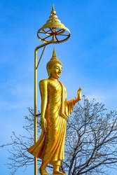 Buddha golden  statue stands tall. In the midst of the bright blue sky, the backdrop of trees in spring fudge