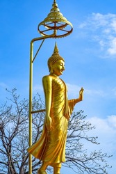 Buddha golden  statue stands tall. In the midst of the bright blue sky, the backdrop of trees in spring fudge