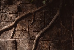 Wall with roots stonework for an old weathered vintage looks perfect for background. 