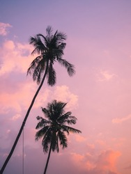 Scenic view of isolated tall coconut palm tree with colorful sunset sky background of tropical paradise island. Koh Mak Island, Trat, Thailand. Minimal summer vibe background with copy space.