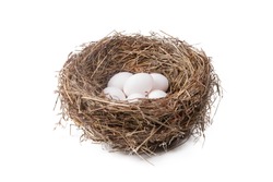 Heap of white eggs in a straw nest on a white background