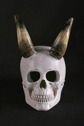 Anatomic plaster skull with horns