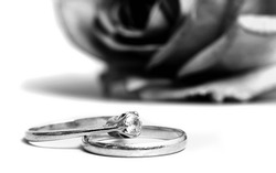 B&W diamond solitaire ring, resting on a wedding ring with rose in background.