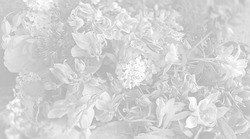 Floral vintage background with flowers. Floral spring background. Floral background in light gray tone. Texture for background wallpaper and any design