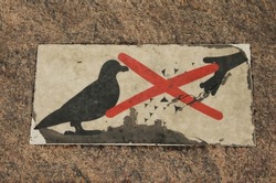 Don't feed the seagulls. Don't feed the pigeons. Feeding birds is prohibited. Sign prohibitive giving any food to birds. Sign from the harbor in Helsinki, Finland. A bird and a hand on a sign.
