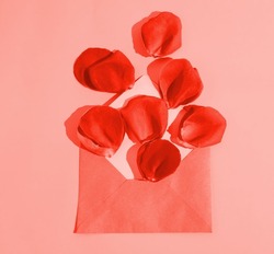 Red rose petals getting out of a red envelope on a light red background. Minimalist concept. Events and anniversaries. Floral pattern. Monochromatic style. Copy paste. Flat lay.