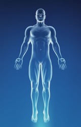 Blue Human Anatomy Body