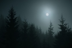 silhouettes of fir trees in the fog at night in the mountains, beautiful full moon