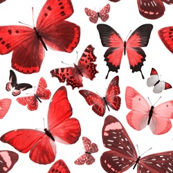 seamless pattern of red butterflies isolated on white background