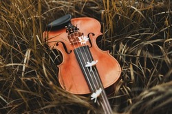 the violin lies on the grass in the fall. musical concept. High quality photo