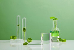 Green Background Centella asiatica for Biological experiment presentation Centella asiatica leaves, green water in biological test tubes. Production of cosmetics based on Centella asiatica. Showcase