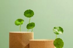 Minimal scene with podium and abstract background. Perspective of podium and centella asiatica (gotu kola) on a green background