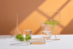 Mugwort decorated with transparent podium and beaker test tube in orange background with blank space for mugwort experiment advertising