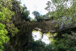 Oparara Arch in Karamea, New Zealand