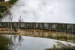 Geothermal lake in Kuirau Park, Rotorua, New Zealand