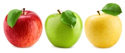 colorful apples, red green and yellow fruit, isolated on white background, clipping path, full depth of field