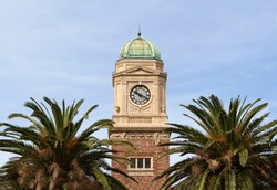 Old clock tower shrouded with palm trees, Melbourne