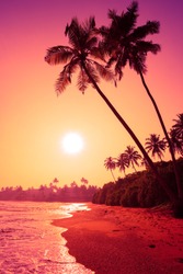 Palm trees on tropical beach at colorful pink tropic sunset
