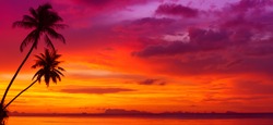 Sunset over the ocean with tropical palm trees silhouette panorama