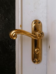 gold door handle and lock in white door
