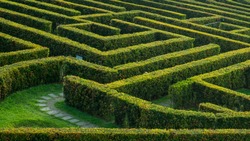 Labyrinth Garden