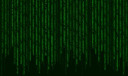 Digital code background. Matrix style program. Random falling numbers.