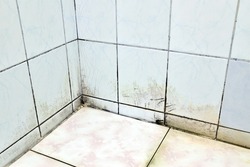 tile in corner of bathroom has dirty stains, old wall and floor tiles have mold stains, cracks and scratches