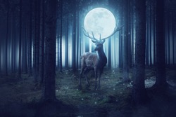 Big deer with moon stands in a dark mystical forest
