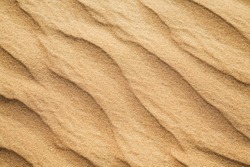 sands of the desert