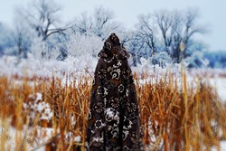  A medieval cloaked woman looking at marshland in winter hoar frost. Creative colors. Gaussian blurred vignette.