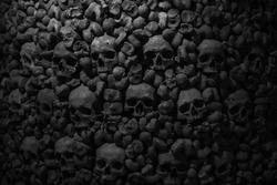 Collection of skulls and bones covered with spider web and dust in the catacombs. Numerous creepy skulls in the dark. Abstract concept symbolizing death, terror, and evil.